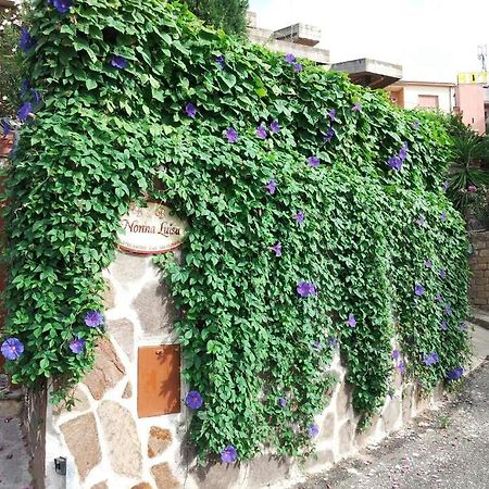 B&B Nonna Luisa Tarquinia Exterior photo
